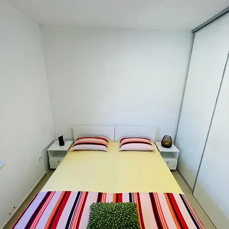 Roko Tragurion * تروغير